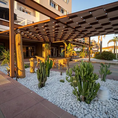 Pato Rojo-2