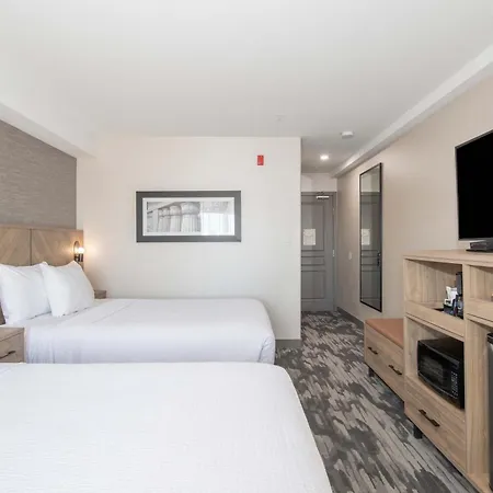 Sandman Hotel & Suites Regina-3