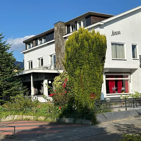 Mimosa Hotel-3