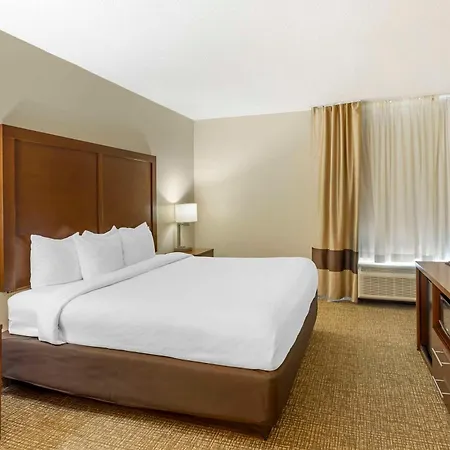 Comfort Inn Meridian - Bonita Lakes-3