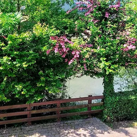 Alte Stadtmauer - Apartment-3
