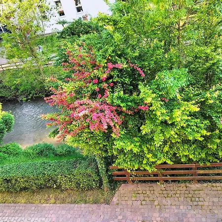 Alte Stadtmauer - Apartment-2