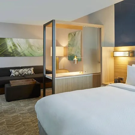 Springhill Suites By Marriott Charlotte At Carowinds-3