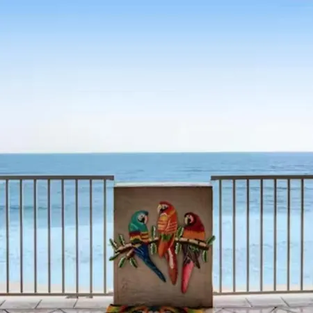 Tropical Winds 501 - Sandy Toes-2