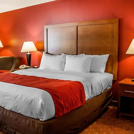 Quality Inn Lima Northeast-3