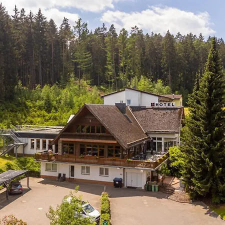 Waldhotel Ehrental-2