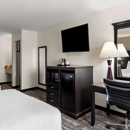 Best Western Saluki Inn-2