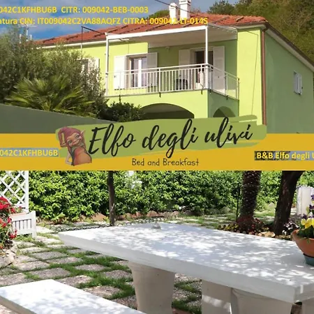 B&B Elfo degli Ulivi-3
