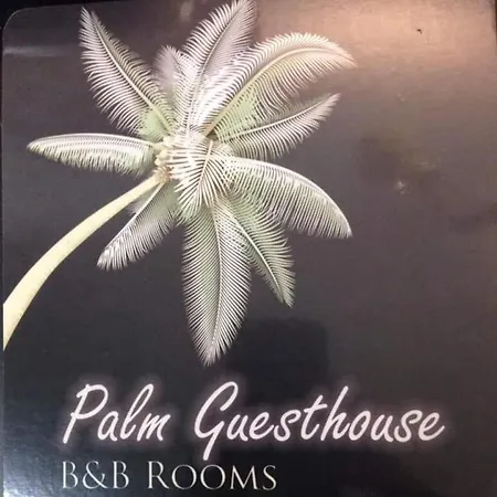 Palm Guesthouse B&B Rooms-3