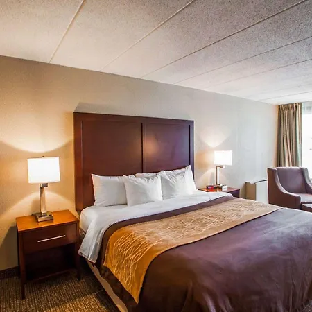 Quality Inn & Suites Orland Park - Chicago-2