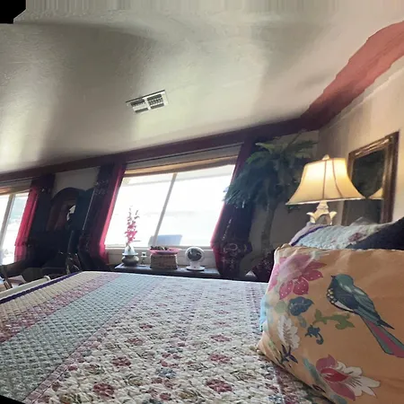 Mermaid'S Muse Bed And Breakfast-3