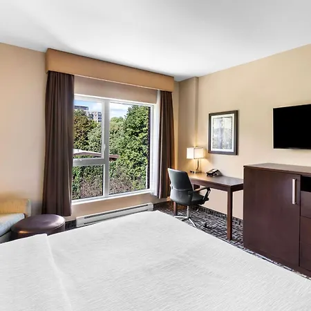 Best Western Plus Hotel Montreal-3