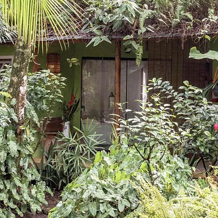 Butterfly House Bahia-2