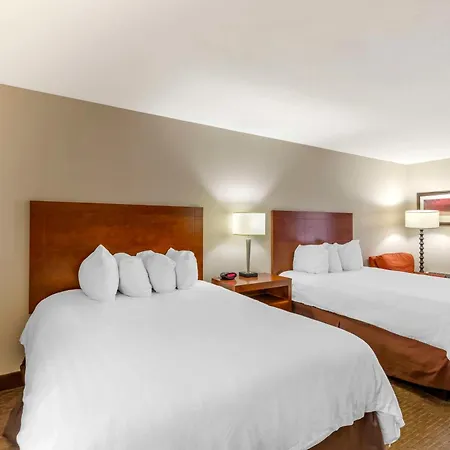 Best Western Cotton Tree Inn-3
