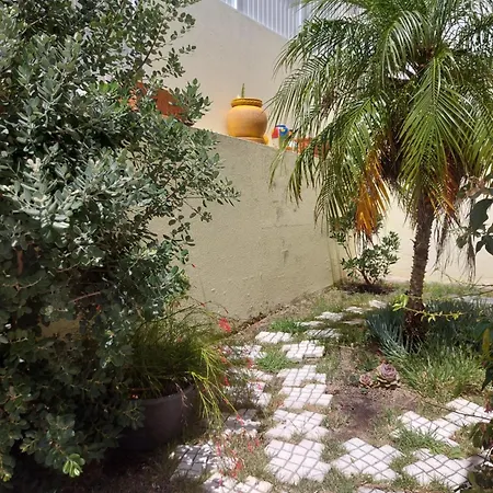 Casa Da Palmeira-3