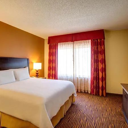 Hilton Garden Inn Tampa Ybor Historic District-2