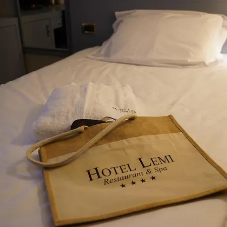 Hotel Lemi-3
