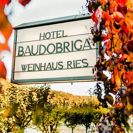 Baudobriga Rheinhotel-3