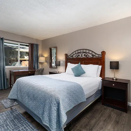The Alder Inn-3