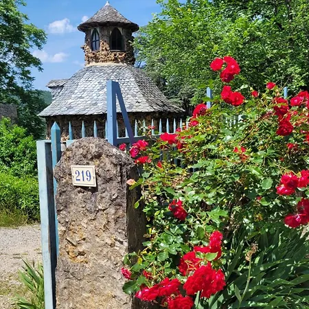 Le Manoir des Pélies Gîte et Chambres d'hôtes de charme à 6kms de Conques Spa, Piscine, Rivière, Thermes de Cransac-2