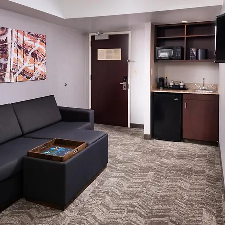 Springhill Suites By Marriott Pittsburgh North Shore-2