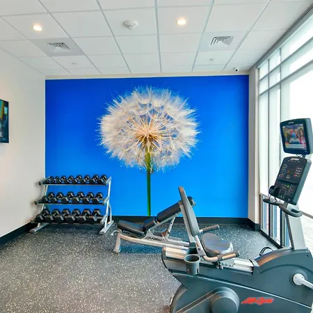 Springhill Suites By Marriott Wilmington Wrightsville Beach-3