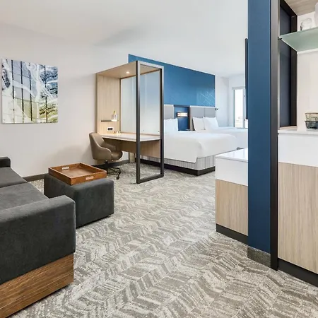 Springhill Suites By Marriott Dallas Mansfield-3