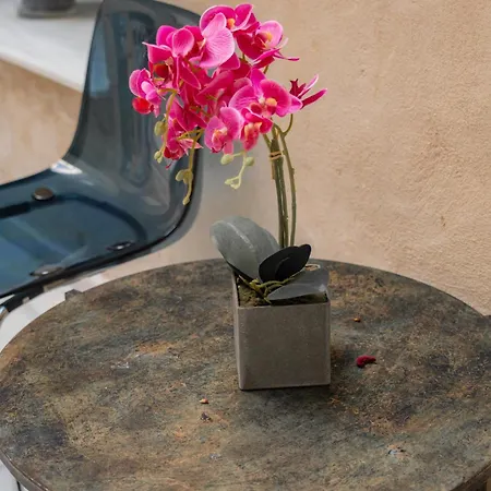 Center Suites San Eloy-3