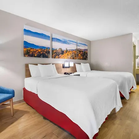 Days Inn By Wyndham Raleigh Midtown-3