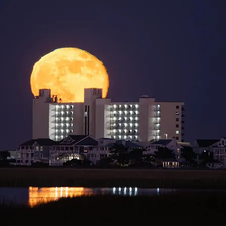 Shell Island Resort - All Oceanfront Suites-2