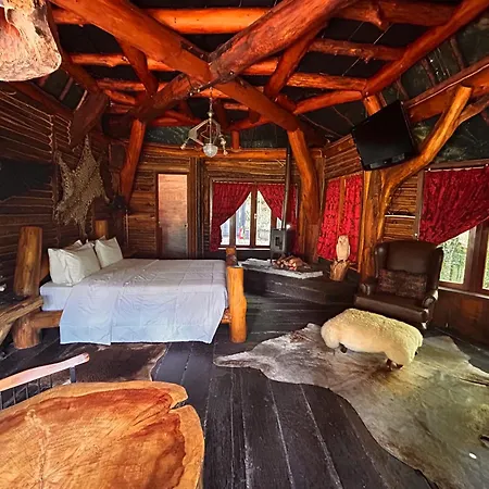 Art Lodge-3