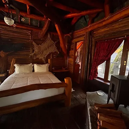 Art Lodge-2