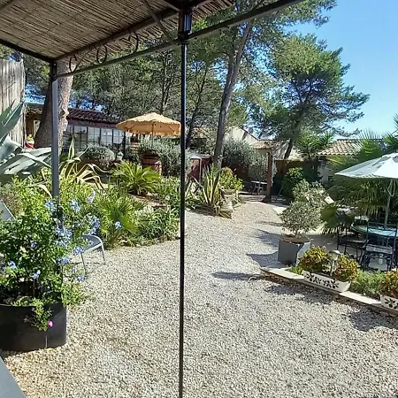 Les coronilles-2
