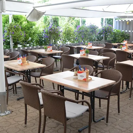 Hotel-Gasthof Zur Rose-2