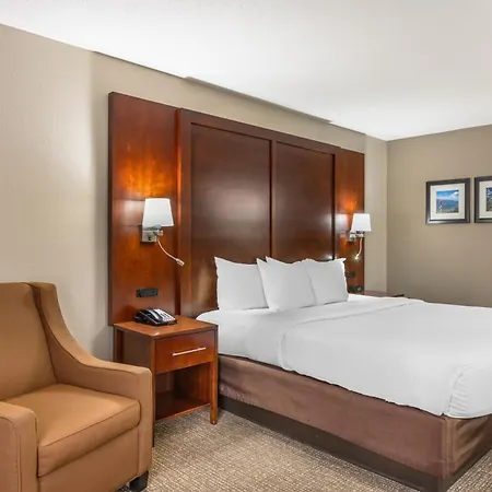 Comfort Inn & Suites Conway-2