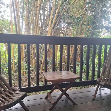 Wild Ginger Hotel-3