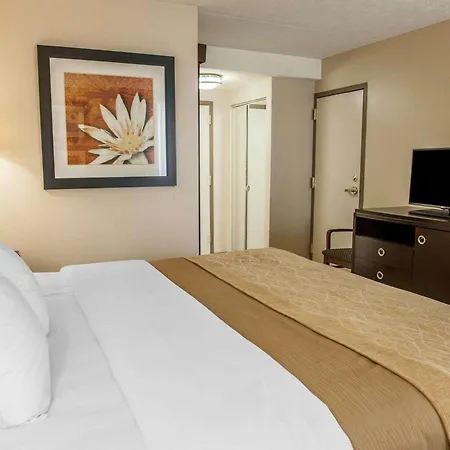 Comfort Inn Bloomington Near University-2