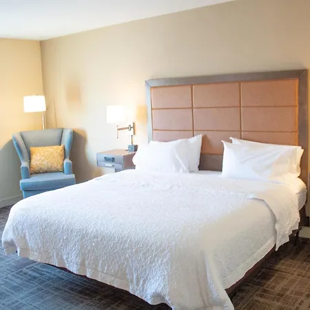 Hampton Inn & Suites Big Rapids, Mi-2