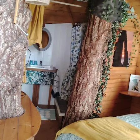 Sherwood Tree-3