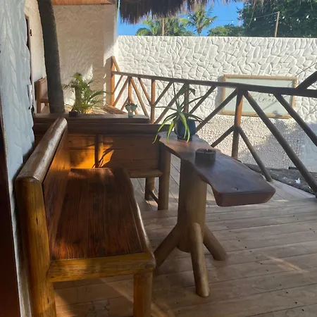 Casa Palmeira-2