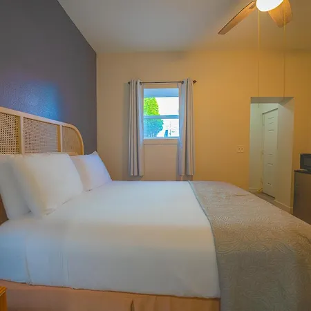City Centre Motel By Oyo-2