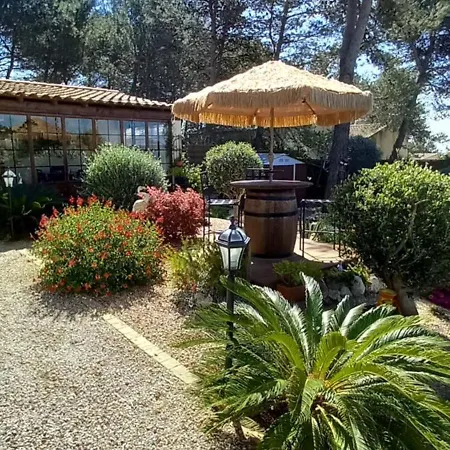 Les coronilles-3