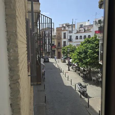 Le Petit Palü Sevilla-3
