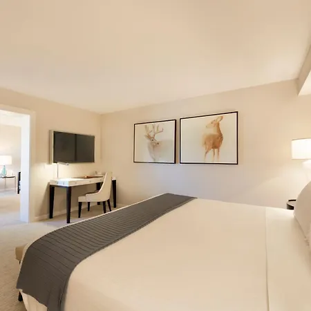 The H Hotel-2
