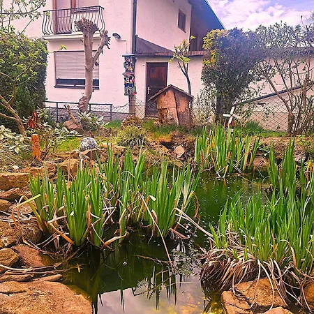 Pension Landhaus Koller - Adults only-2