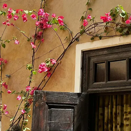 Riad Bamileke-2