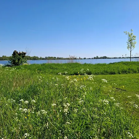 Sweetlake-3