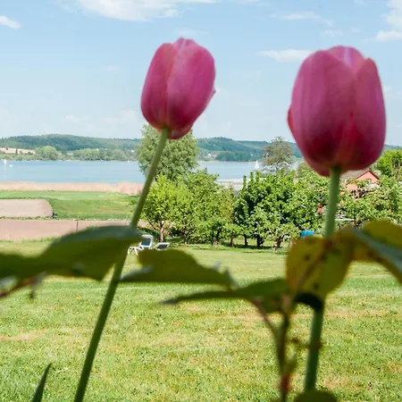 Insel-Hof Reichenau Hotel-garni-2