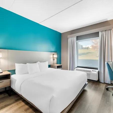 Comfort Suites Knoxville West - Farragut-3