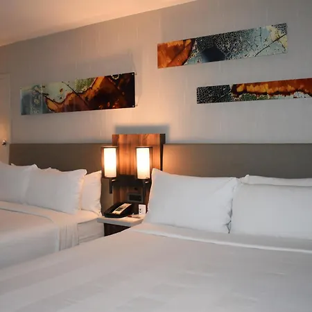 Chicago Marriott Oak Brook-3